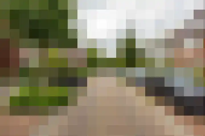 Van Houtenlaan 14 Groningen thumbnail 36