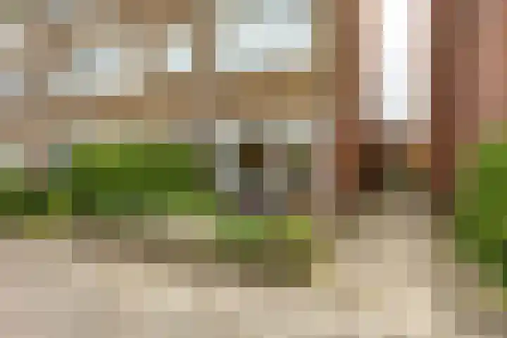 Van Houtenlaan 14 Groningen thumbnail 41