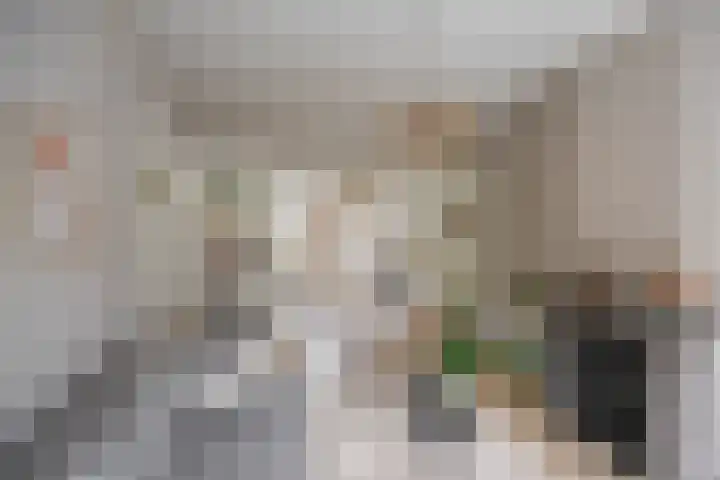Van Houtenlaan 14 Groningen thumbnail 8