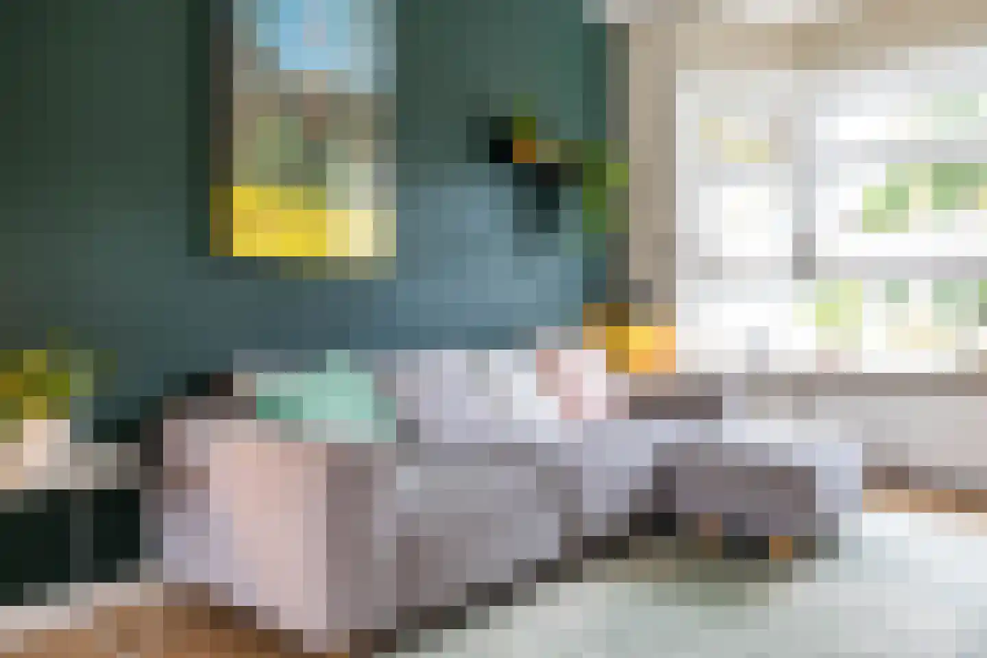 Van Houtenlaan 150 Groningen thumbnail 13