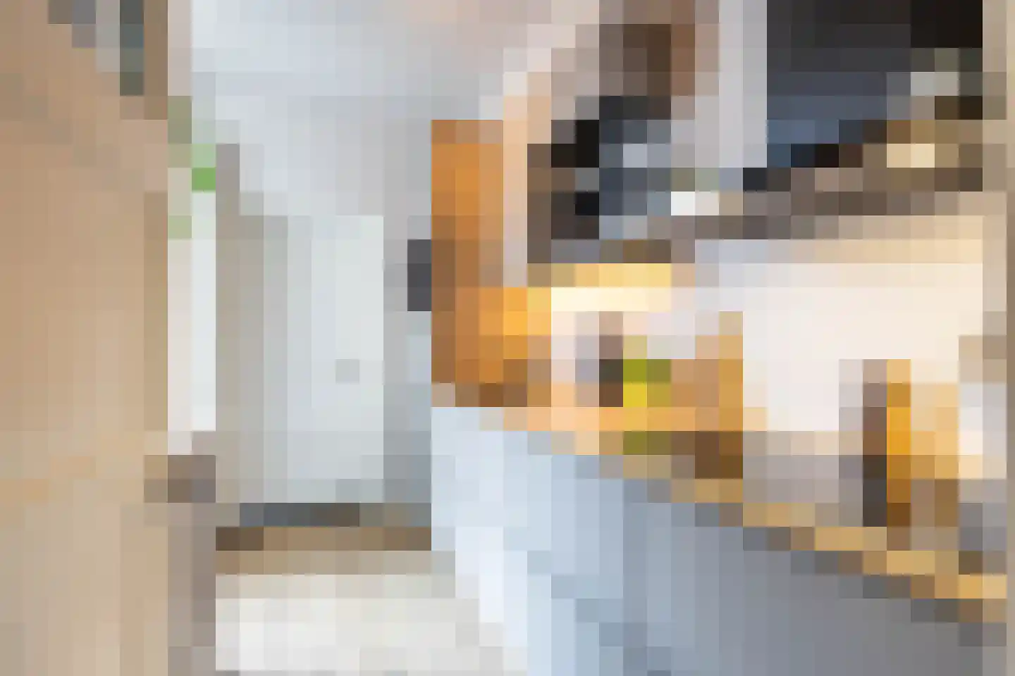 Van Houtenlaan 150 Groningen thumbnail 21
