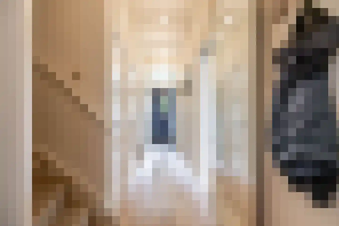 Van Houtenlaan 150 Groningen thumbnail 30