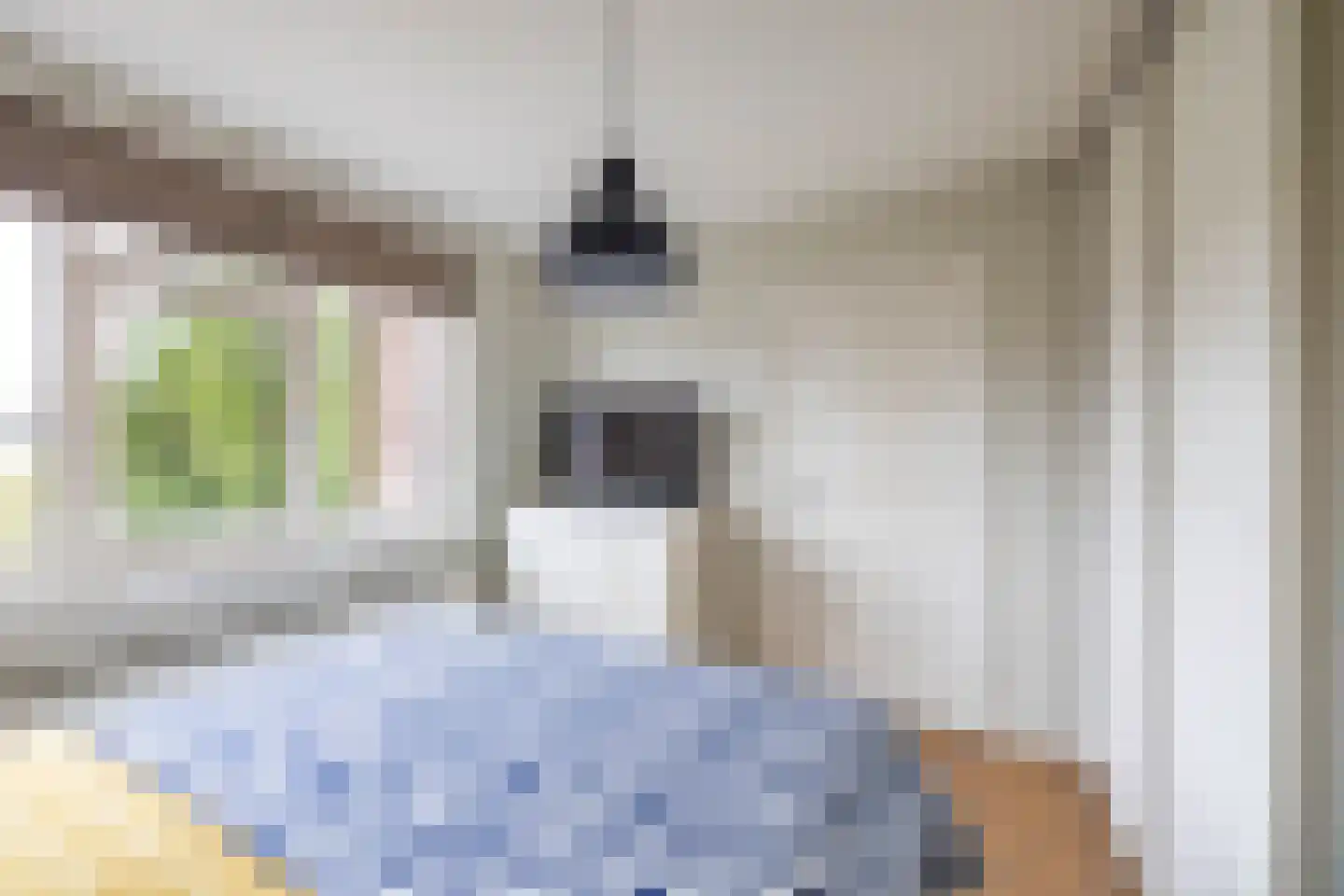 Van Houtenlaan 150 Groningen thumbnail 39