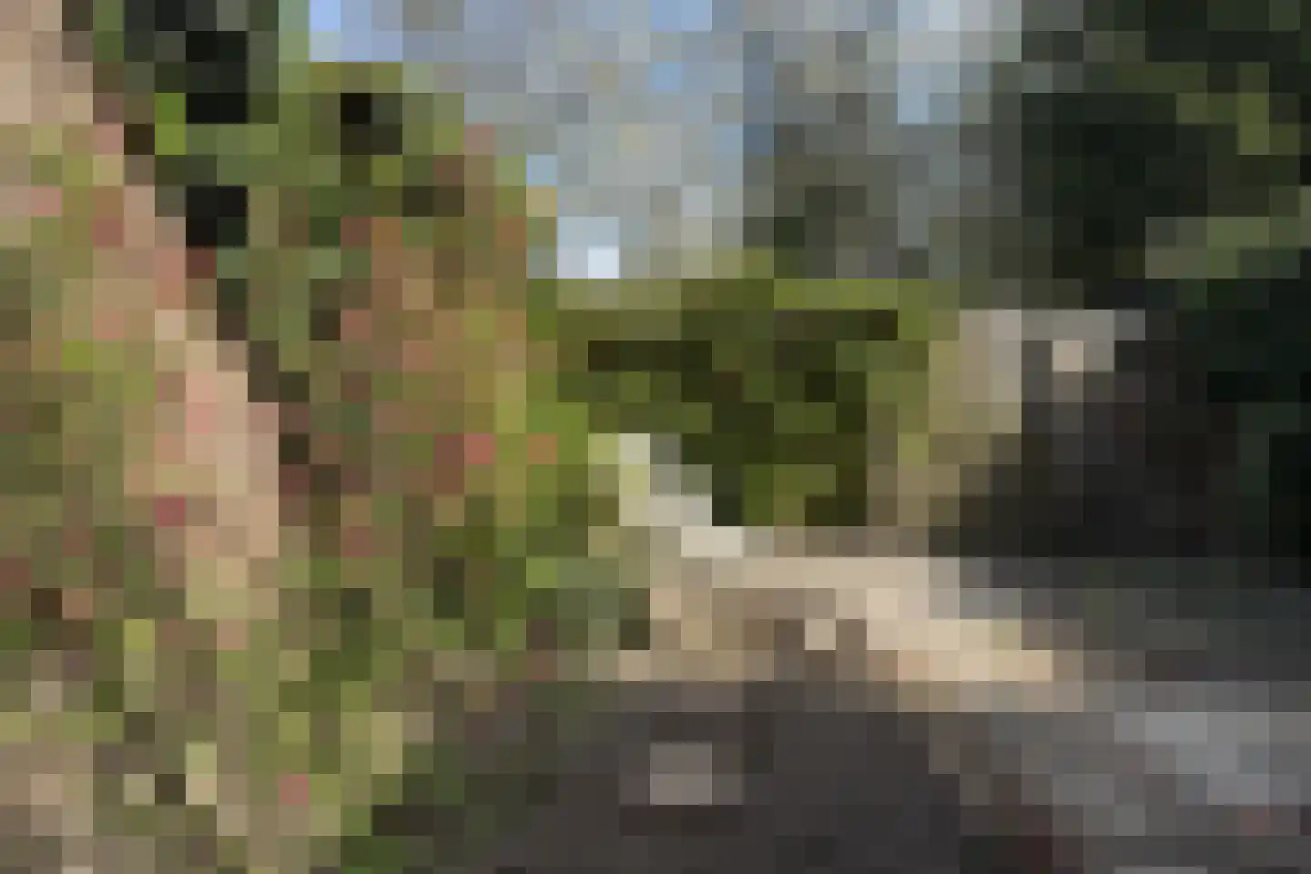 Van Houtenlaan 150 Groningen thumbnail 46