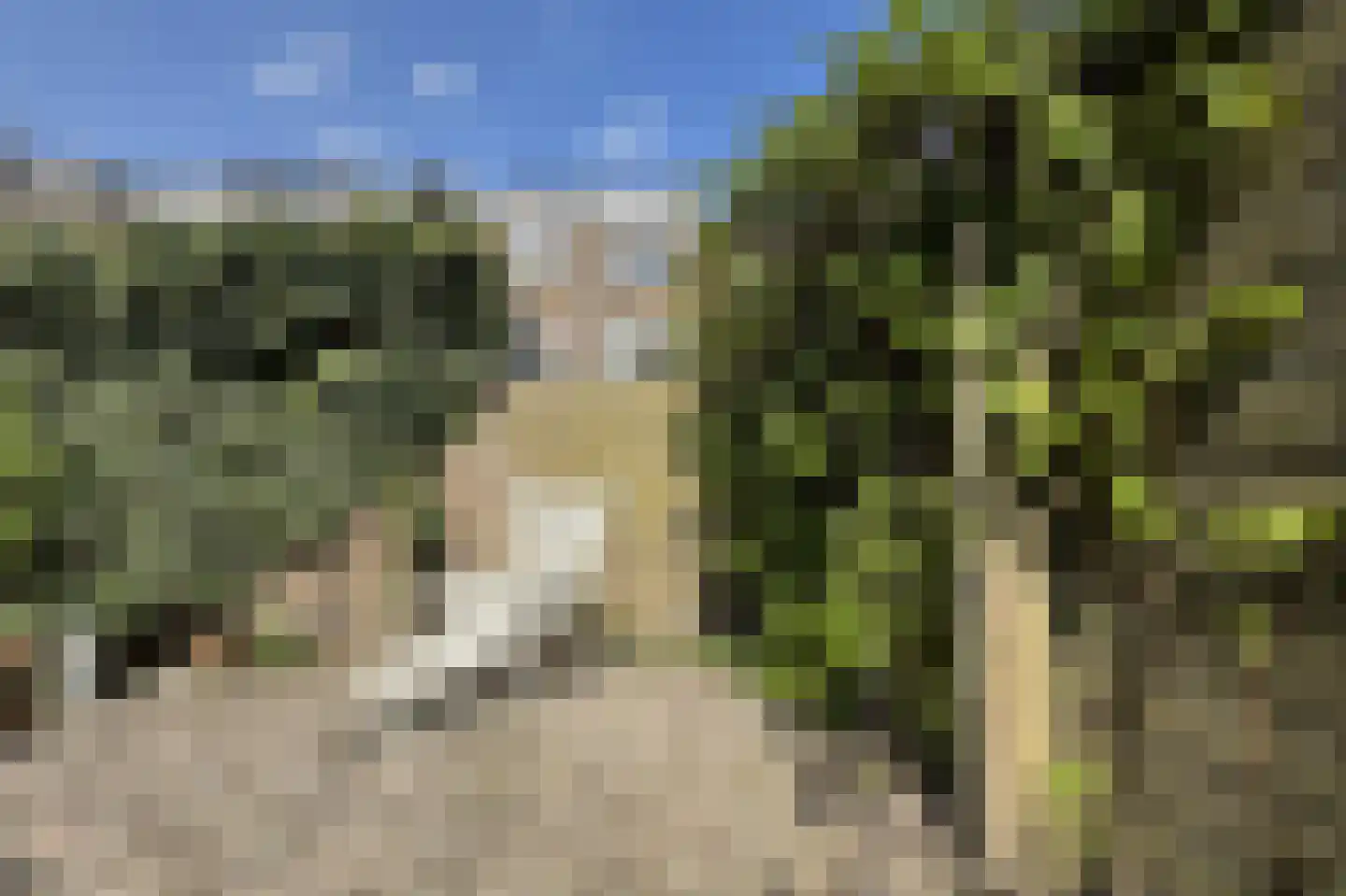 Van Houtenlaan 150 Groningen thumbnail 47