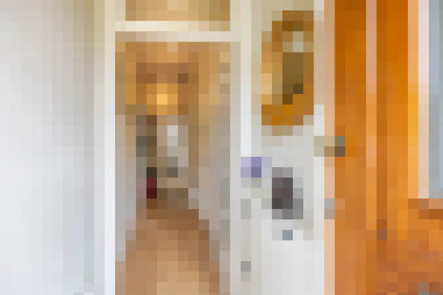 Van Houtenlaan 150 Groningen thumbnail 6
