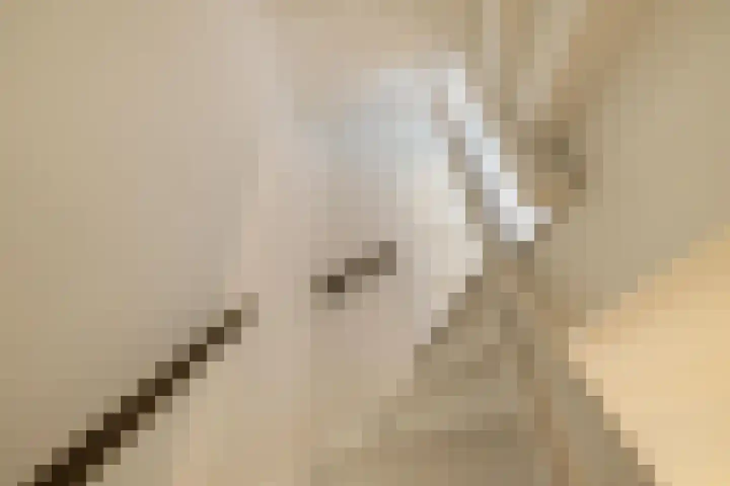 Van Houtenlaan 154 Groningen thumbnail 21