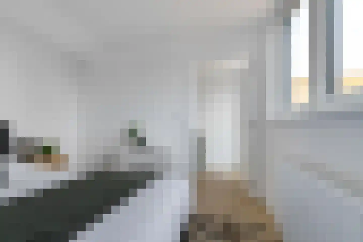Van Houtenlaan 154 Groningen thumbnail 34