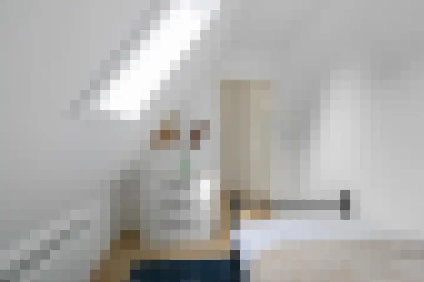 Van Houtenlaan 154 Groningen thumbnail 37