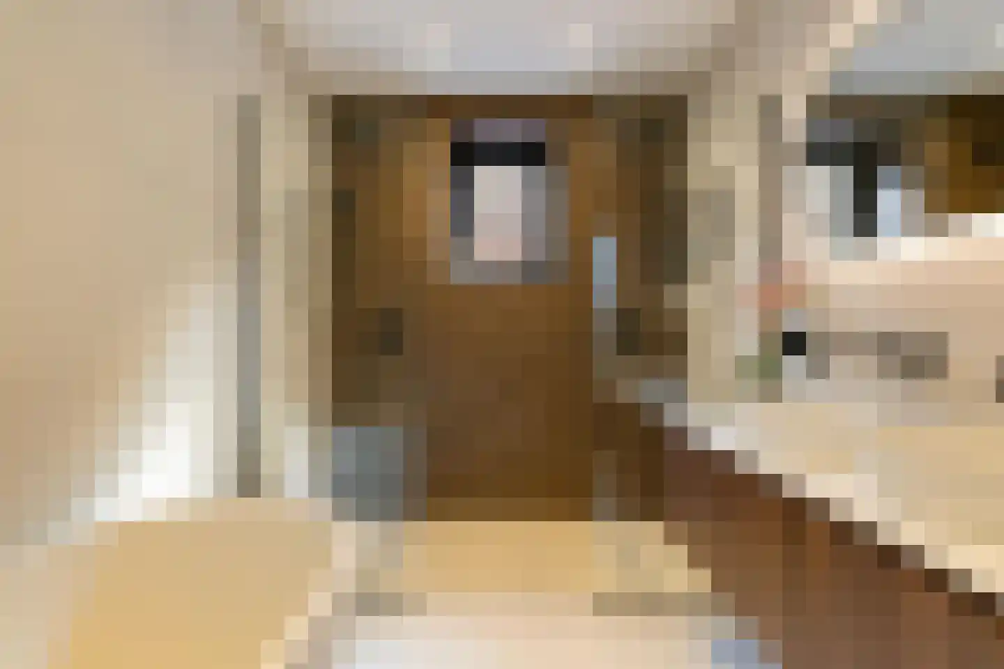 Van Houtenlaan 154 Groningen thumbnail 4