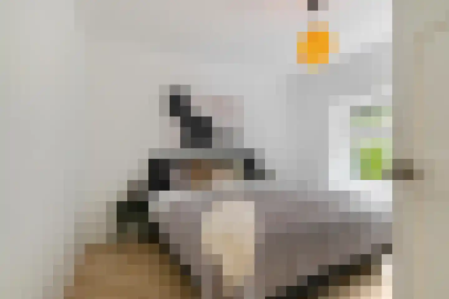Van Houtenlaan 154 Groningen thumbnail 5