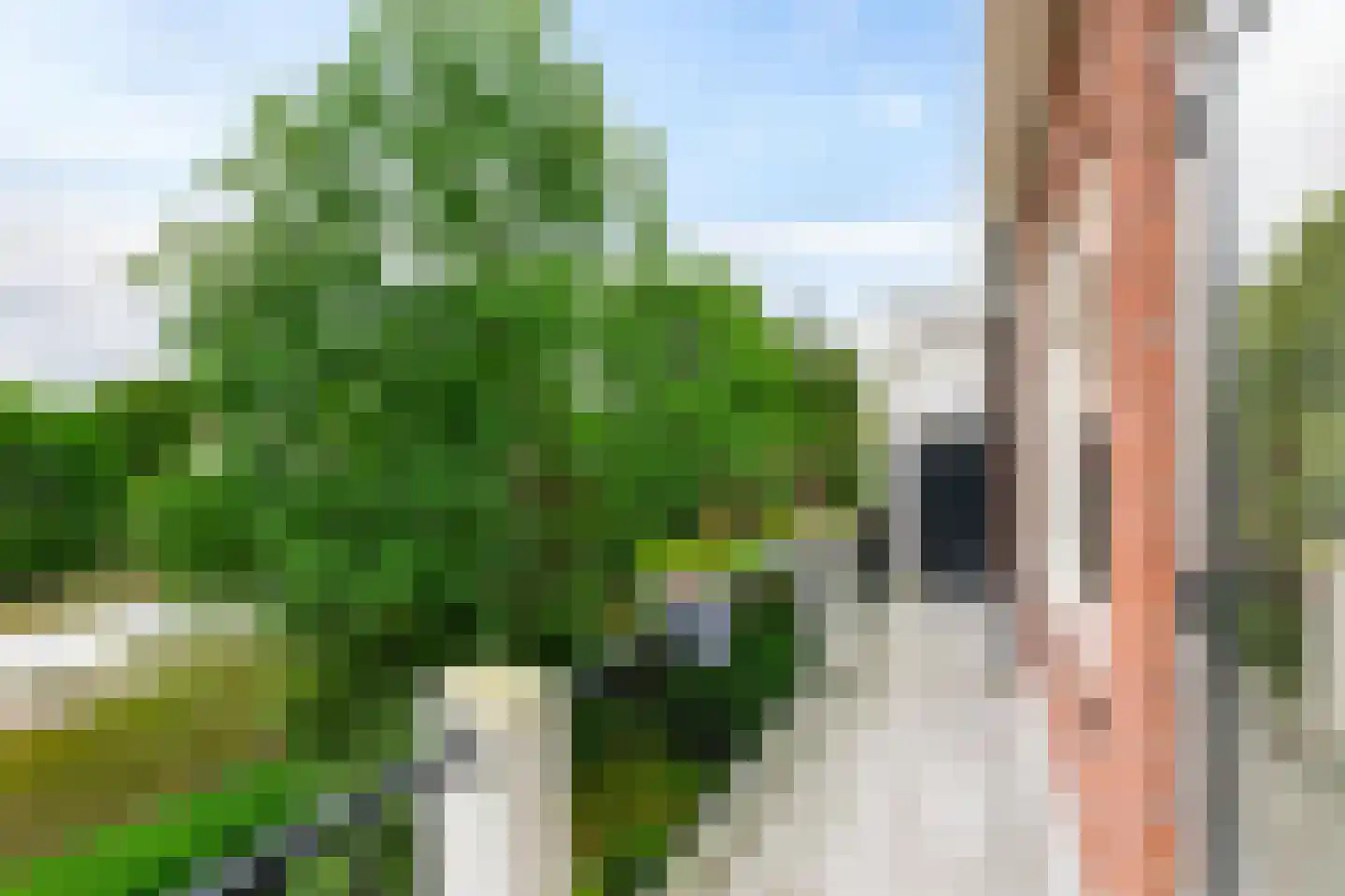 Van Houtenlaan 162 a Groningen thumbnail 16
