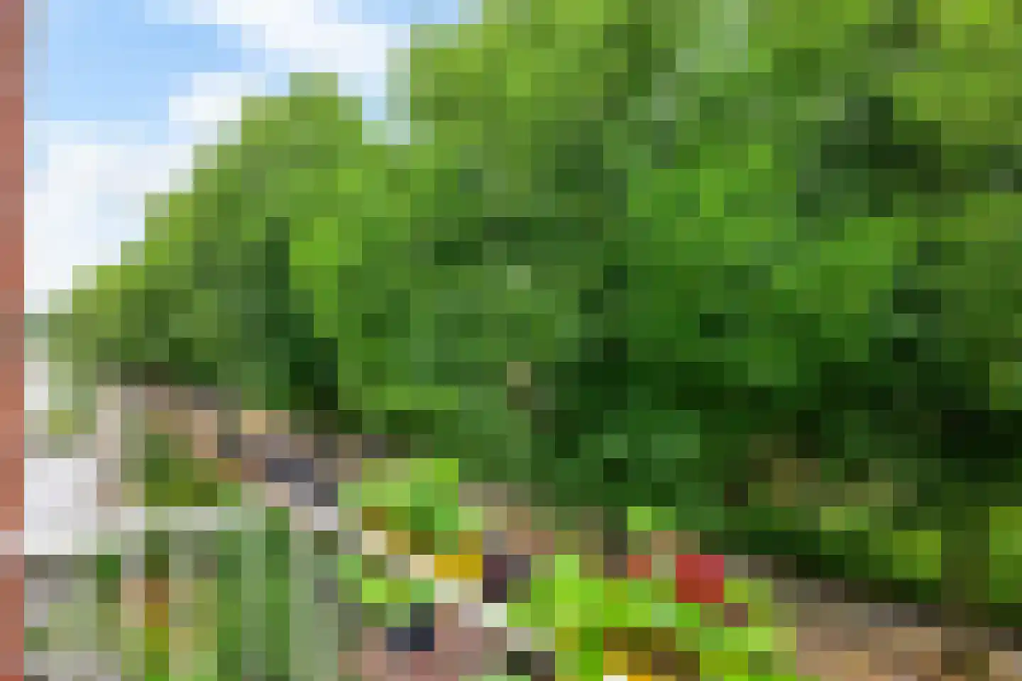 Van Houtenlaan 162 a Groningen thumbnail 23