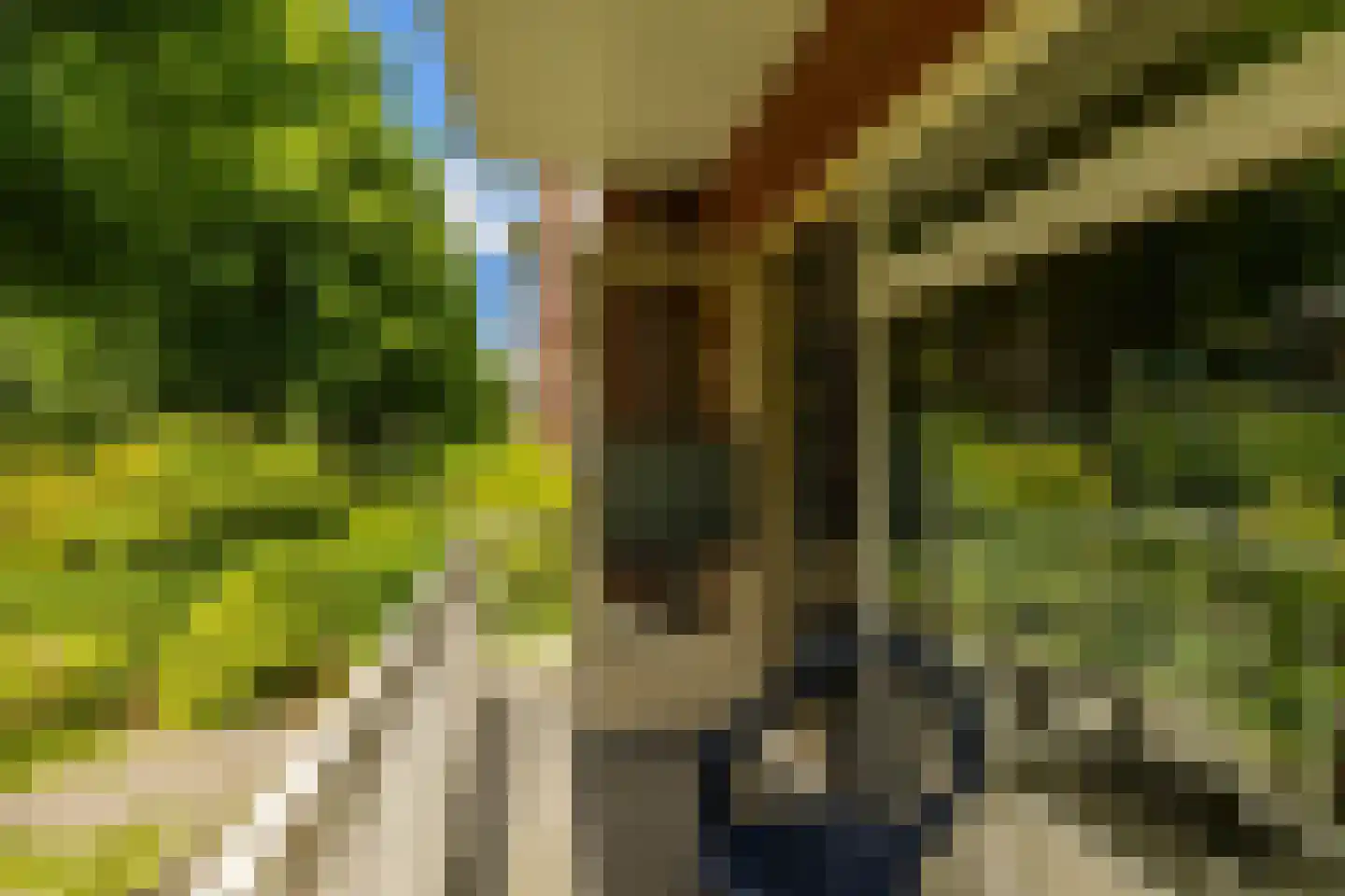 Van Houtenlaan 176 a Groningen thumbnail 13