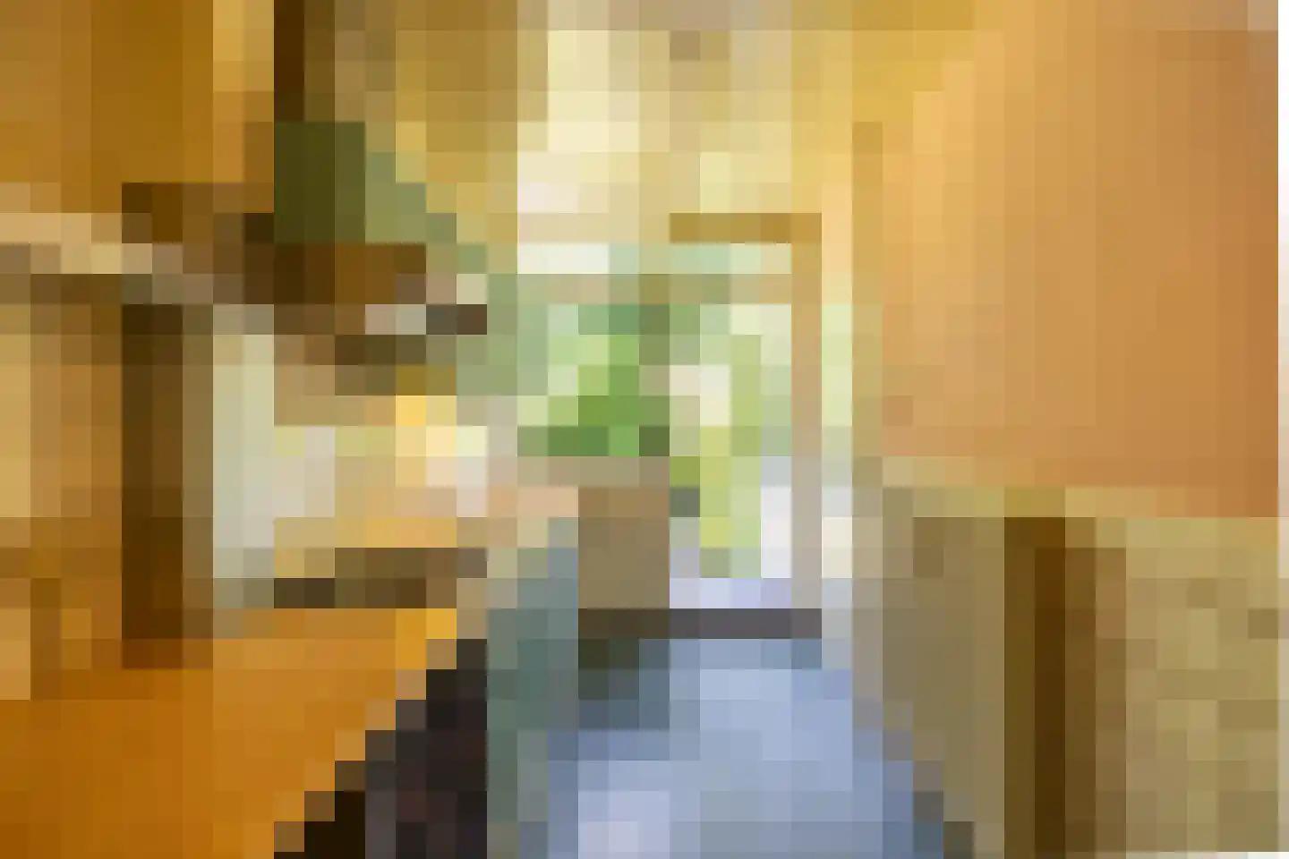 Van Houtenlaan 176 a Groningen thumbnail 27