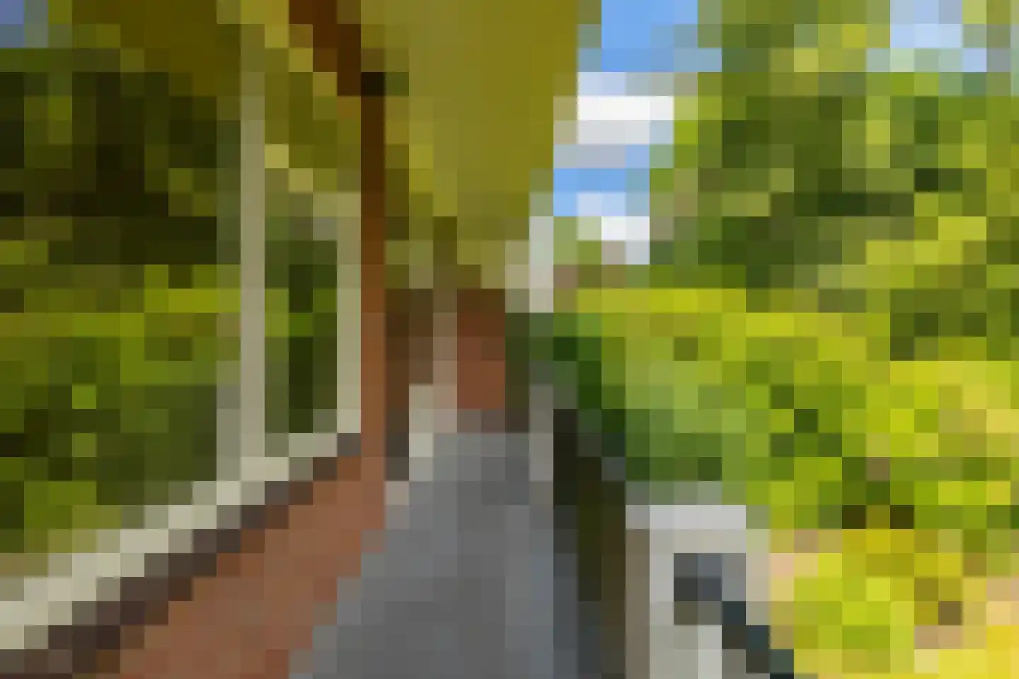 Van Houtenlaan 176 a Groningen thumbnail 34