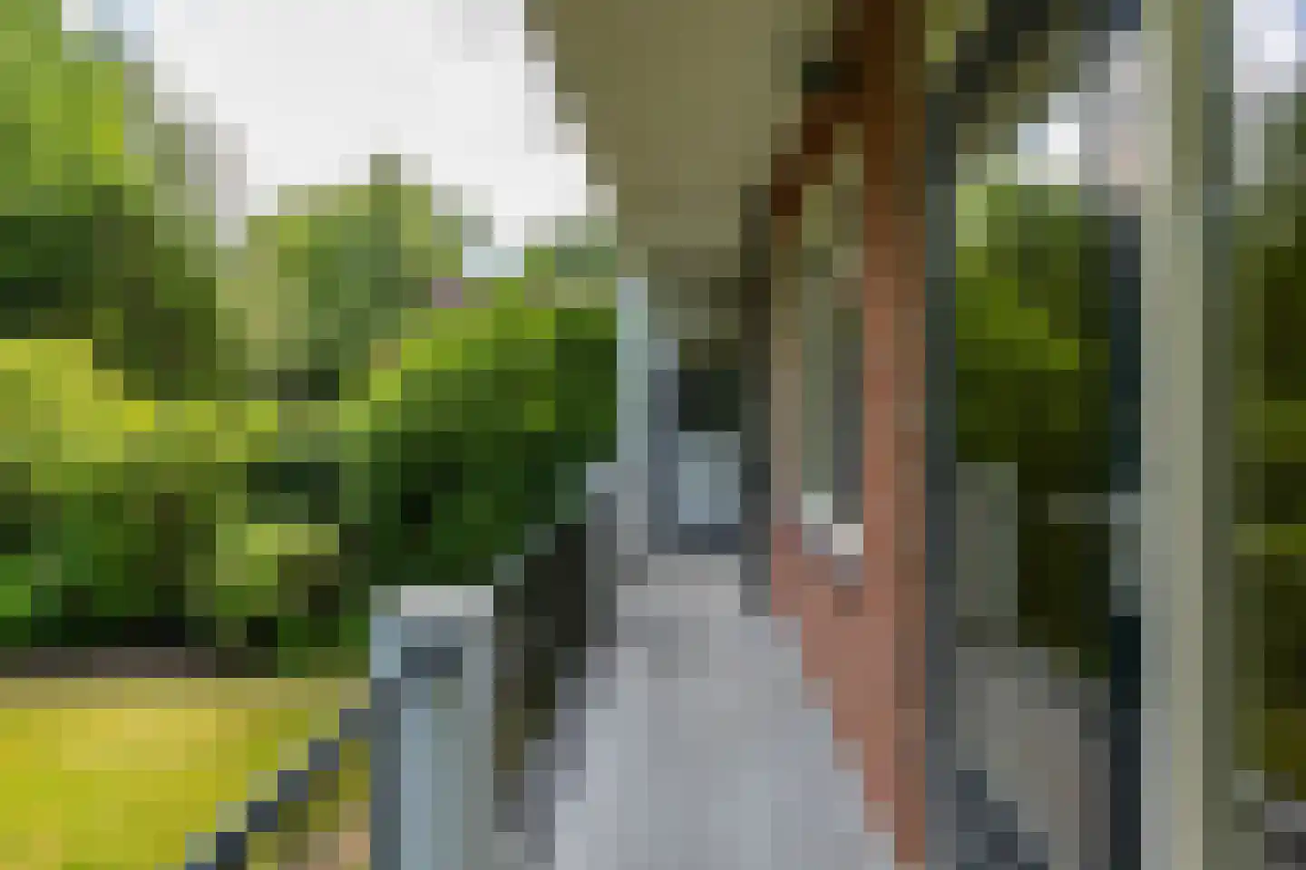 Van Houtenlaan 176 a Groningen thumbnail 4