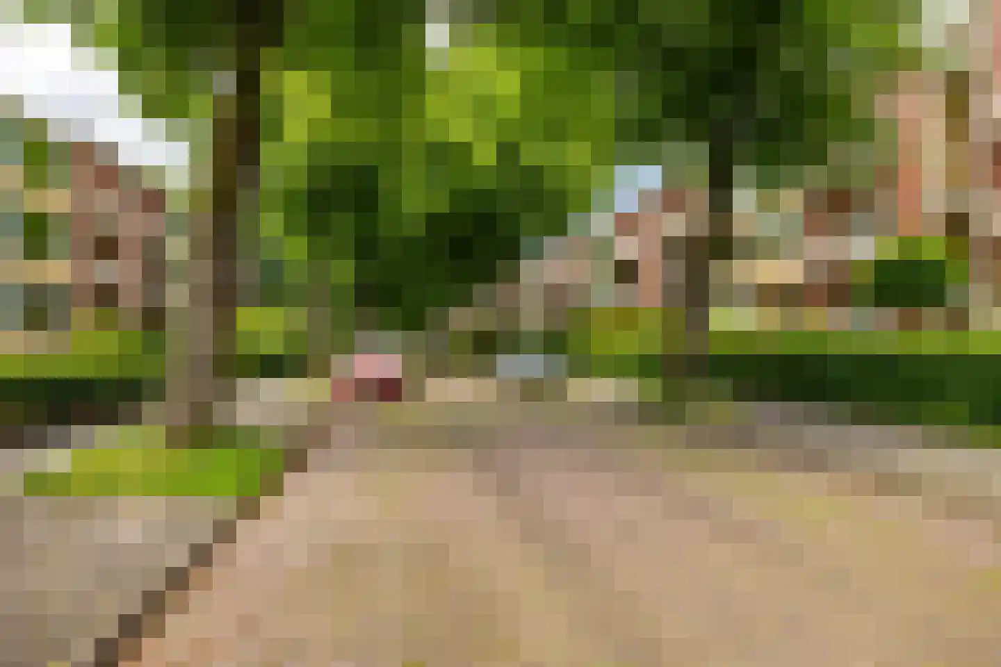 Van Houtenlaan 176 a Groningen thumbnail 6