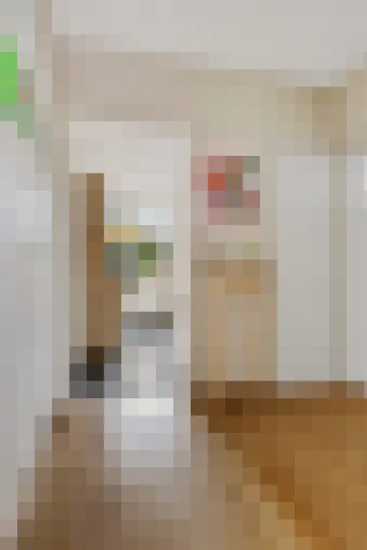 Van Houtenlaan 18 Groningen thumbnail 11