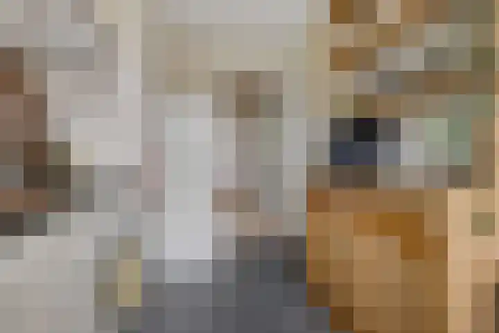 Van Houtenlaan 18 Groningen thumbnail 13