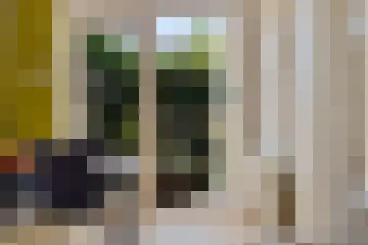 Van Houtenlaan 18 Groningen thumbnail 23