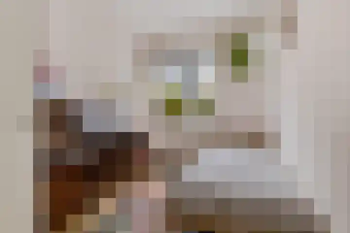 Van Houtenlaan 18 Groningen thumbnail 27