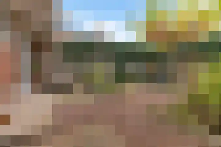 Van Houtenlaan 18 Groningen thumbnail 31