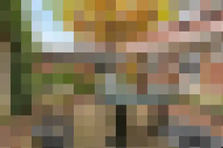 Van Houtenlaan 18 Groningen thumbnail 34