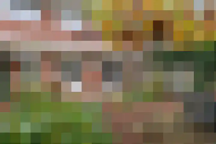 Van Houtenlaan 18 Groningen thumbnail 35