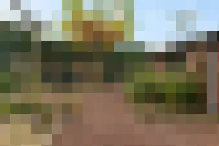 Van Houtenlaan 18 Groningen thumbnail 36