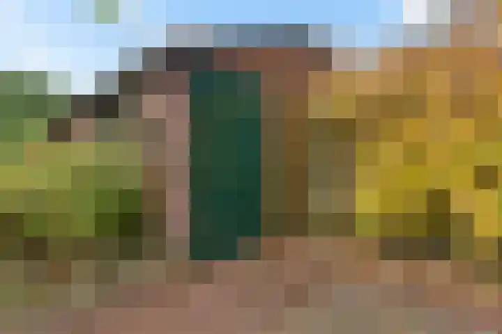 Van Houtenlaan 18 Groningen thumbnail 37