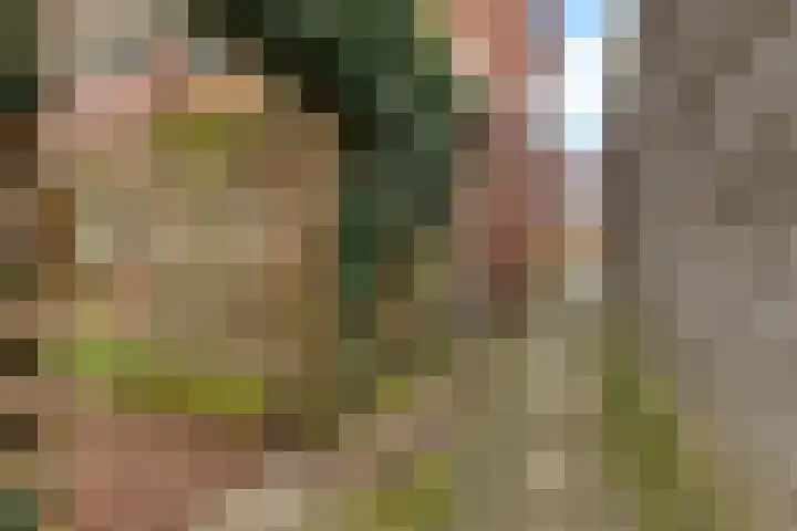 Van Houtenlaan 18 Groningen thumbnail 39
