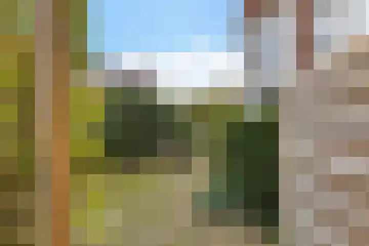 Van Houtenlaan 18 Groningen thumbnail 40