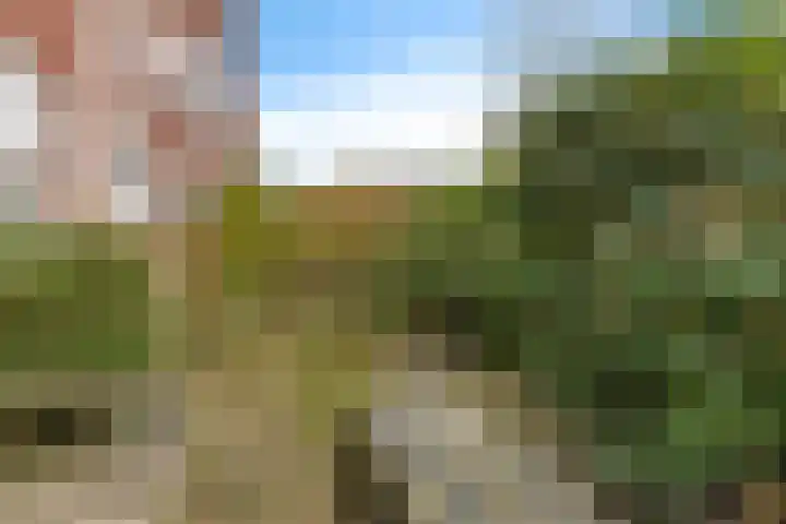 Van Houtenlaan 18 Groningen thumbnail 42