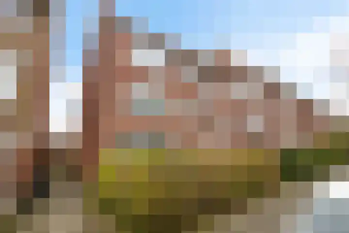 Van Houtenlaan 18 Groningen thumbnail 5