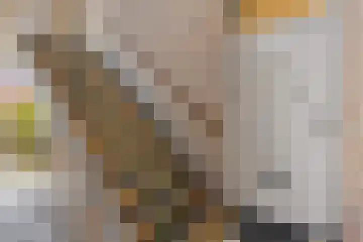 Van Houtenlaan 18 Groningen thumbnail 7