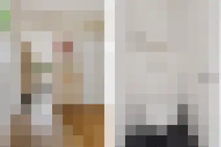 Van Houtenlaan 18 Groningen thumbnail 8