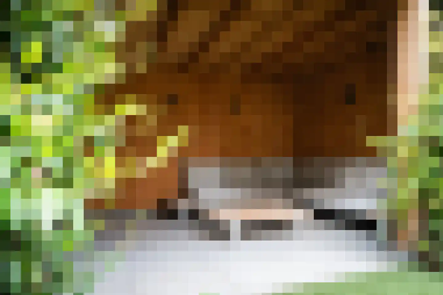 Van Houtenlaan 24 Barneveld thumbnail 5