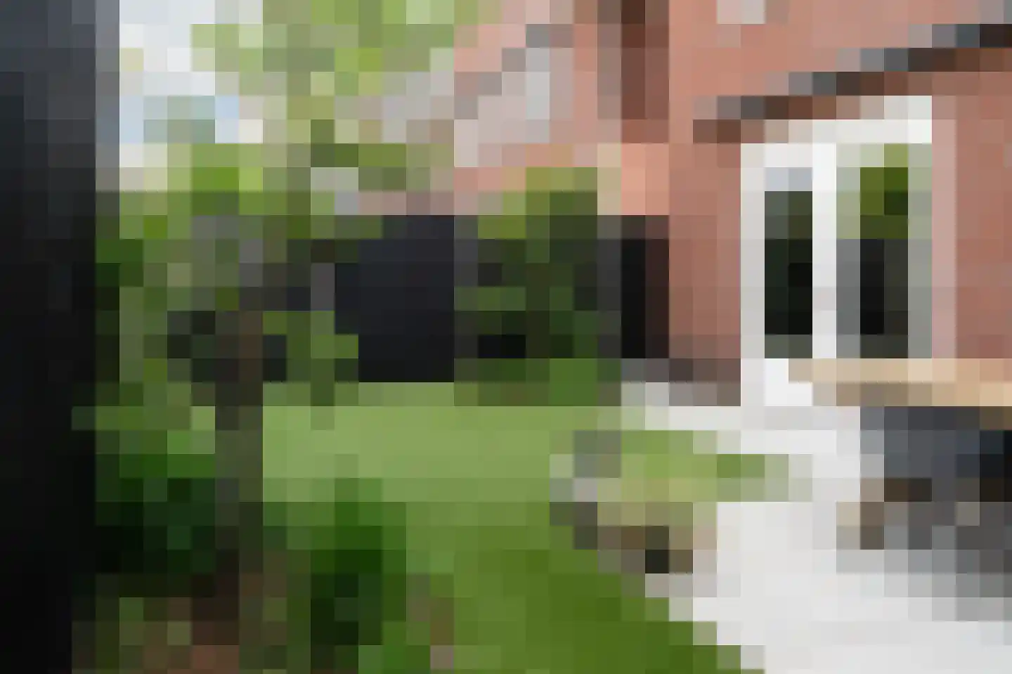 Van Houtenlaan 24 Barneveld thumbnail 52