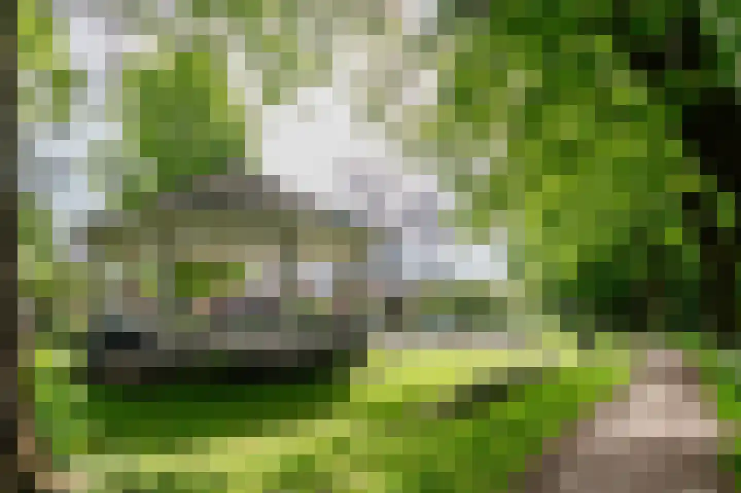 Van Houtenlaan 24 Barneveld thumbnail 63