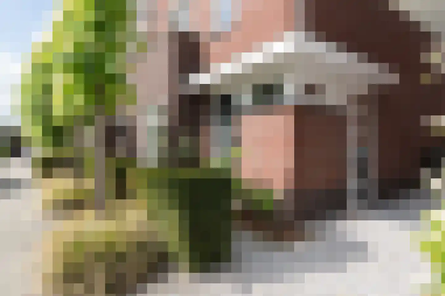 Van Houtenlaan 24 Barneveld thumbnail 7