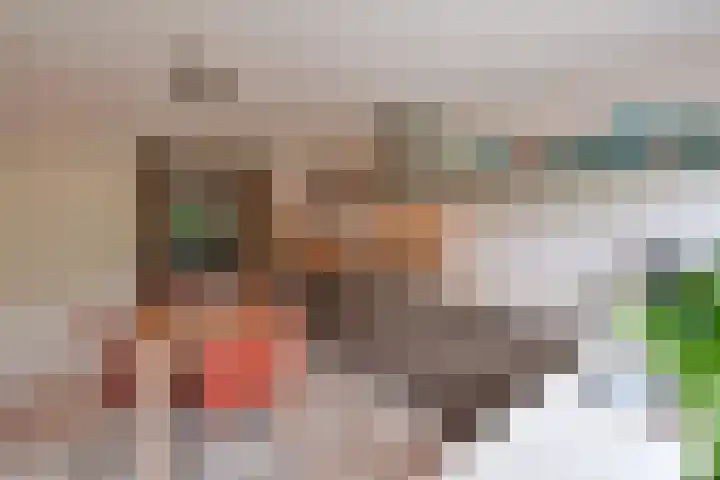 Van Houtenlaan 3 Huizen thumbnail 10