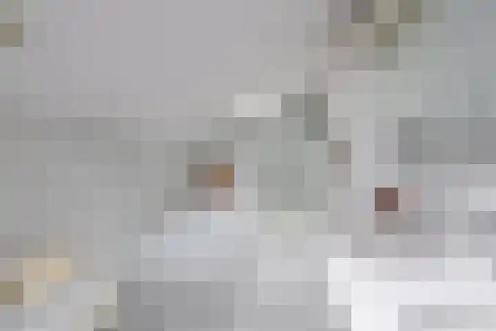 Van Houtenlaan 3 Huizen thumbnail 14