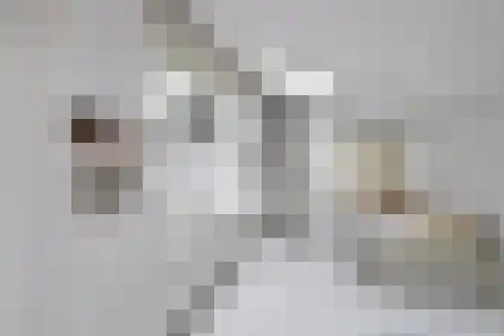 Van Houtenlaan 3 Huizen thumbnail 15