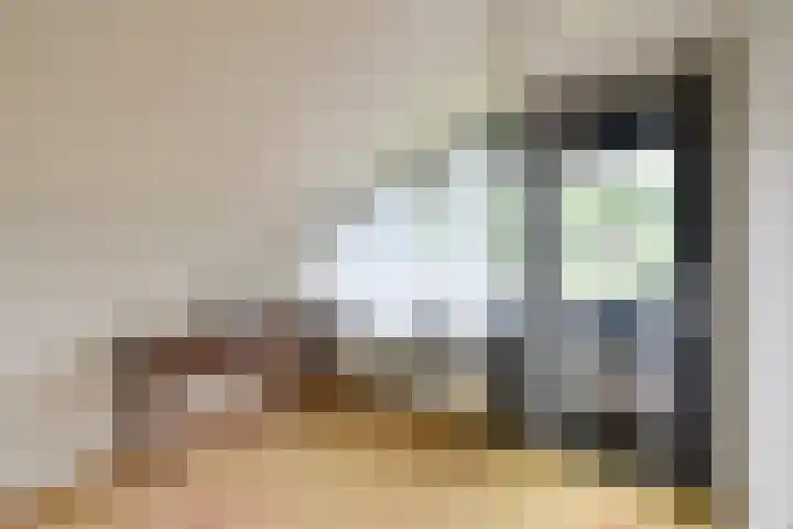 Van Houtenlaan 3 Huizen thumbnail 16