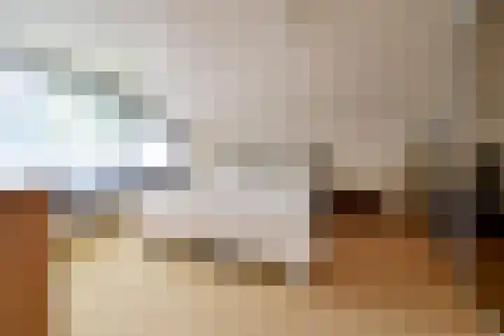 Van Houtenlaan 3 Huizen thumbnail 17