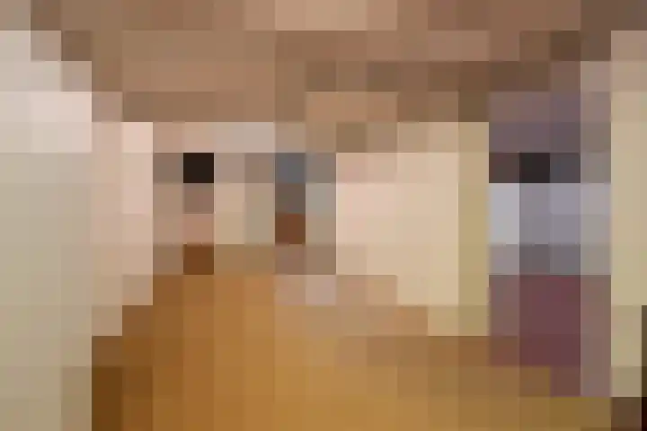 Van Houtenlaan 3 Huizen thumbnail 18