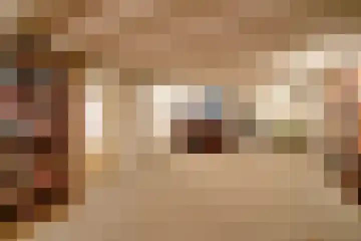 Van Houtenlaan 3 Huizen thumbnail 20