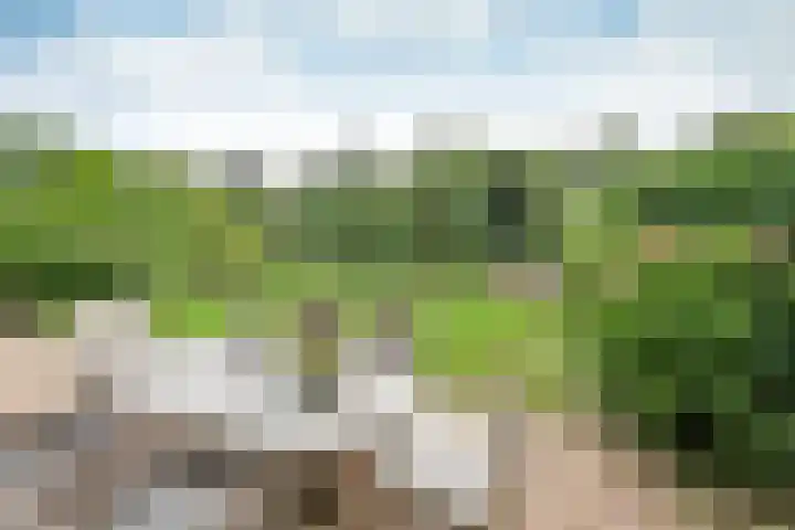 Van Houtenlaan 3 Huizen thumbnail 25