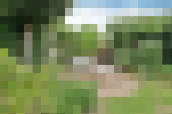 Van Houtenlaan 3 Huizen thumbnail 26